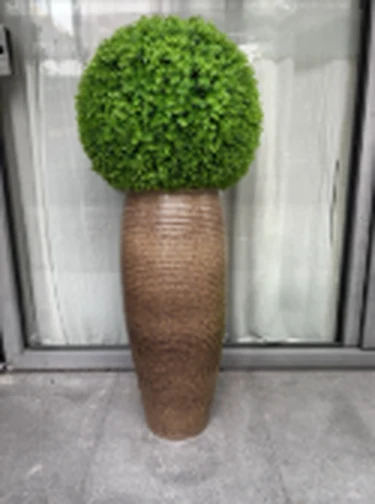 A green spherical topiary in a tall ribbed brown planter.
